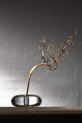 Concept Objects