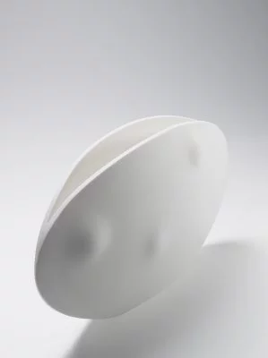 Vaso Semente